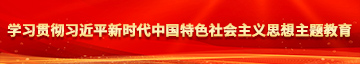 肏老屄网学习贯彻习近平新时代中国特色社会主义思想主题教育