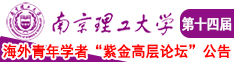 大鸡巴操黑逼视频南京理工大学第十四届海外青年学者紫金论坛诚邀海内外英才！